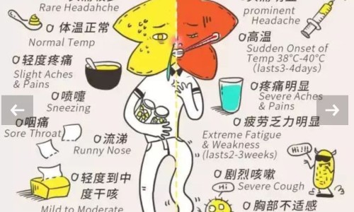 河南常用中草药手册-河南中药材大全图片大全图片网 - 网站提供河南中药材品种有哪些小常识、河南中药材交易市场