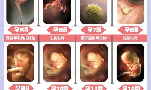 河南中药材大全图片大全图片网 - 网站提供河南中药材品种有哪些小常识、河南中药材交易市场